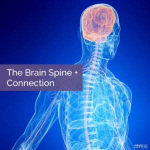 Chippewa Falls (Lake Hallie)- The Brain - Spine Connection